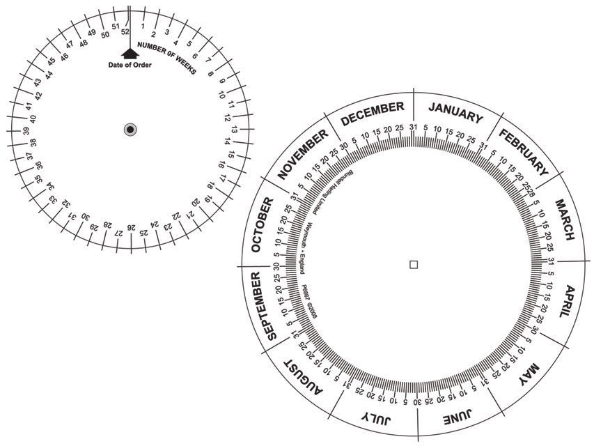 PREGNANCY DISC
