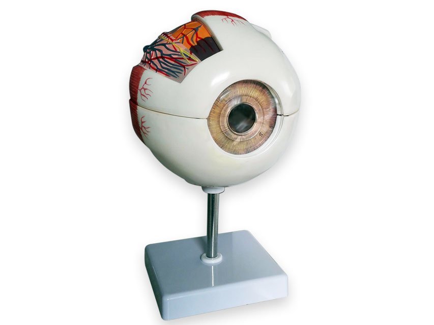 VALUE EYE - 6 parts - 6X