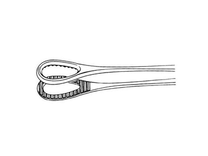FOERSTER FORCEPS 20 cm