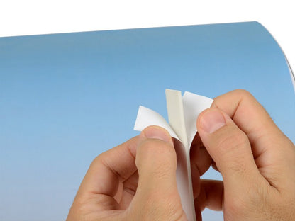 BIADHESIVE FOAM STRIP