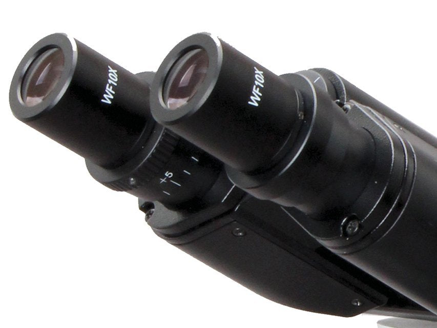 LED BIOLOGICAL MICROSCOPE - 40 - 1600X