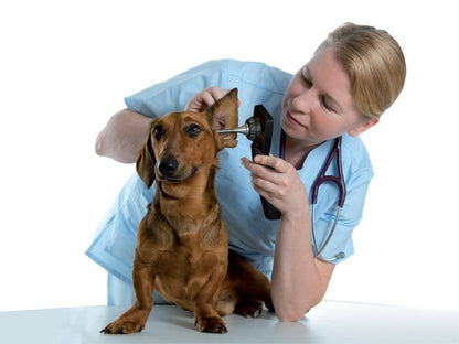 MD SCOPE VET VIDEO OTOSCOPE - 3 PROBES