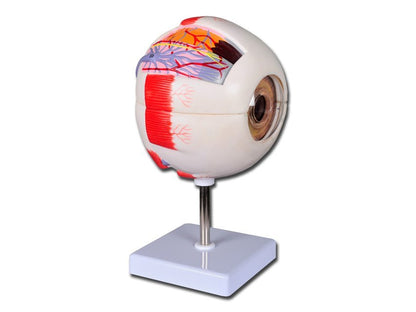 VALUE EYE - 6 parts - 6X