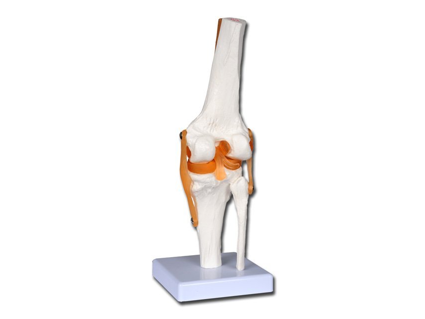 VALUE KNEE JOINT