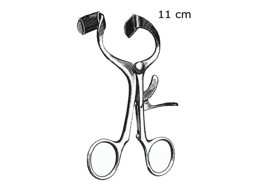 MOLT MOUTH GAG - 11 cm