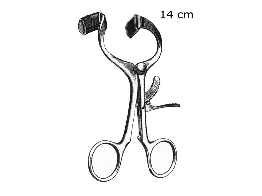 MOLT MOUTH GAG - 14 cm